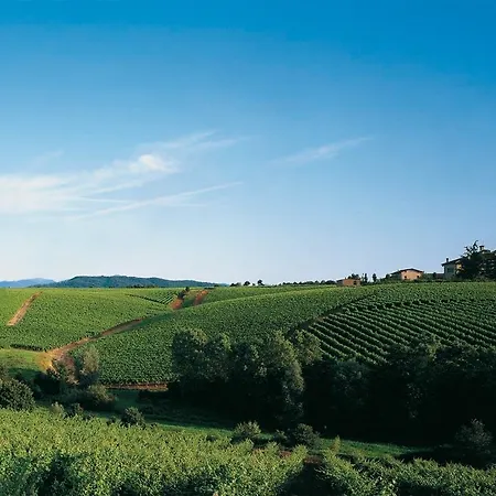 Alloggio per agriturismo Tenuta La Marchesa