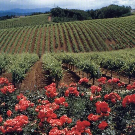 Tenuta La Marchesa Alloggio per agriturismo Novi Ligure